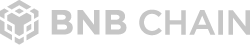 BNB Chain Logo